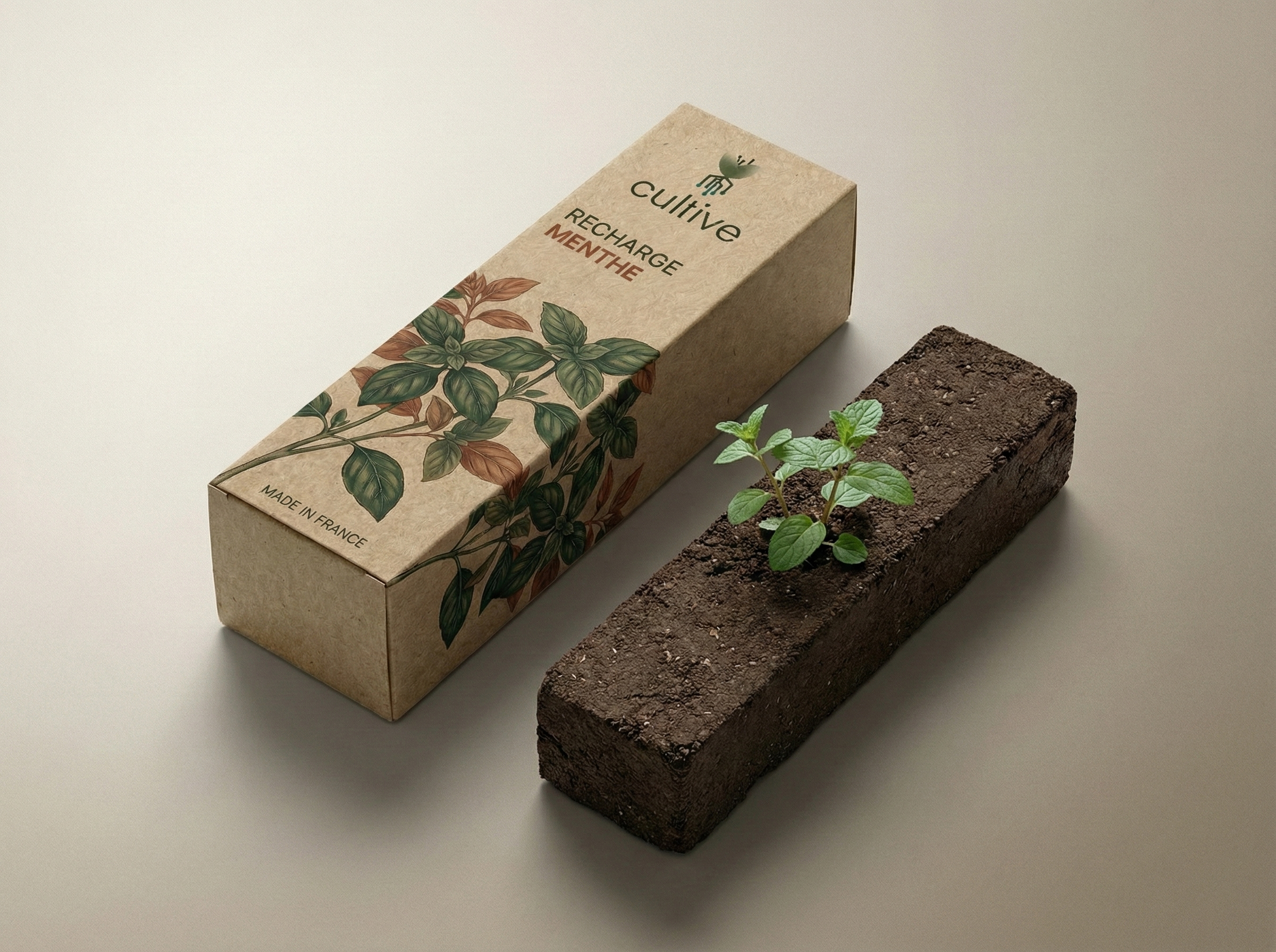 Petite pousse de menthe sur sa motte de culture à côté de la boîte de recharge kraft Cultive.