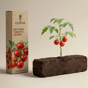 Boîte de recharge Cultive à côté de sa motte de terreau avec un jeune plant de tomates cerises.